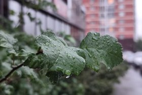 Фото Маргариты Романовой, IRK.ru