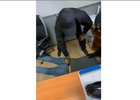 Фото Восточно-Сибирского линейного управления МВД России на транспорте