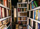 Книжные стеллажи. Фото из архива IRK.ru