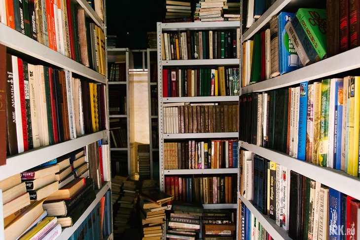 Книжные стеллажи. Фото из архива IRK.ru