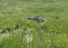 Мотоцикл. Фото пресс-службы ГУ МВД России по Иркутской области