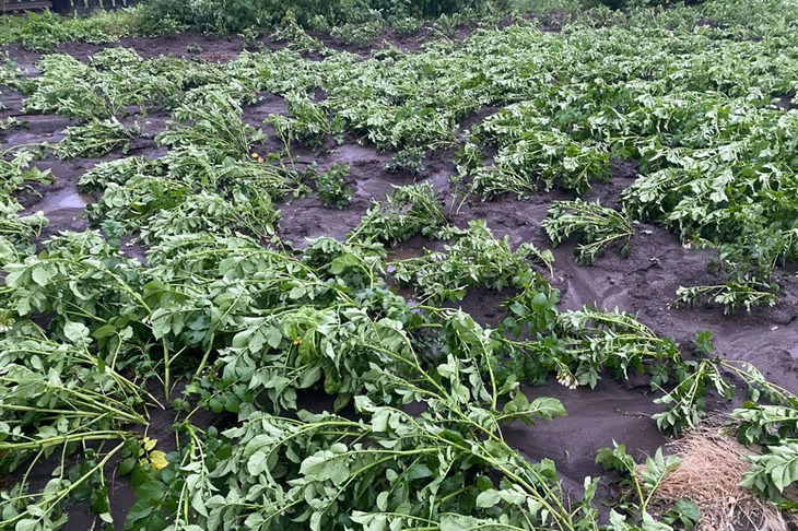 Фото редакции газеты «Тулунский вестник»