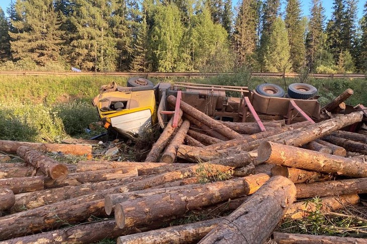 Фото пресс-службы ГУ МВД России по Иркутской области