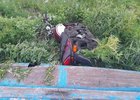 Фото Госавтоинспекции Иркутской области