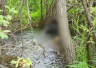 Тело погибшего обнаружили в реке Топка. Фото пресс-службы СУ СК России по Иркутской области