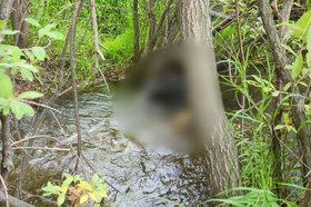 Тело погибшего обнаружили в реке Топка. Фото пресс-службы СУ СК России по Иркутской области