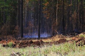 Лесной пожар. Фото пресс-службы правительства региона