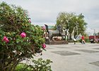 Летний Иркутск. Фото из архива IRK.ru