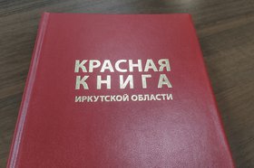 Красная книга Иркутской области. Фото пресс-службы правительства региона