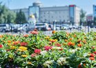 Лето в Иркутске. Фото из архива IRK.ru