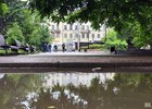 Лужа в Иркутске. Фото Маргариты Романовой, IRK.ru