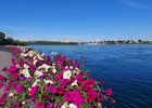Лето в Иркутске. Фото IRK.ru