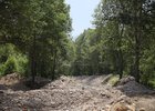 Фото пресс-службы правительства Иркутской области
