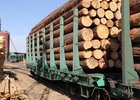 Древесина. Фото пресс-службы ГУ МВД России по Иркутской области