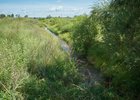 Фото Маргариты Романовой, IRK.ru