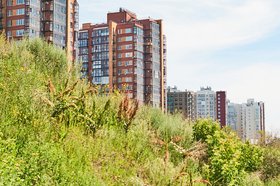 Фото из архива IRK.ru