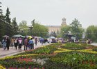 Иркутск в дождь. Фото Маргариты Романовой, IRK.ru