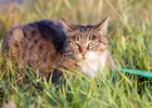 Фото IRK.ru