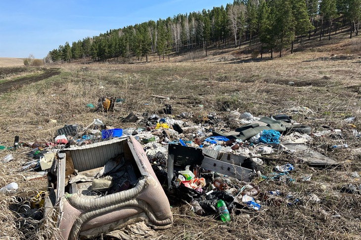 Свалка в Хомутово. Фото регионального управления Россельхознадзора