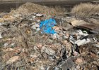 Свалка в Хомутово. Фото регионального управления Россельхознадзора