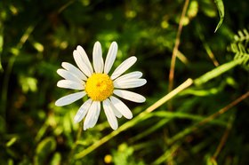 Фото IRK.ru