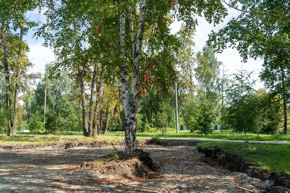 В ходе зачистки территории пришлось вырубить некоторые деревья, но в планах — восстановление зеленой зоны