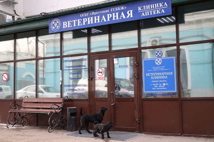 Фото с сайта правительства Иркутской области