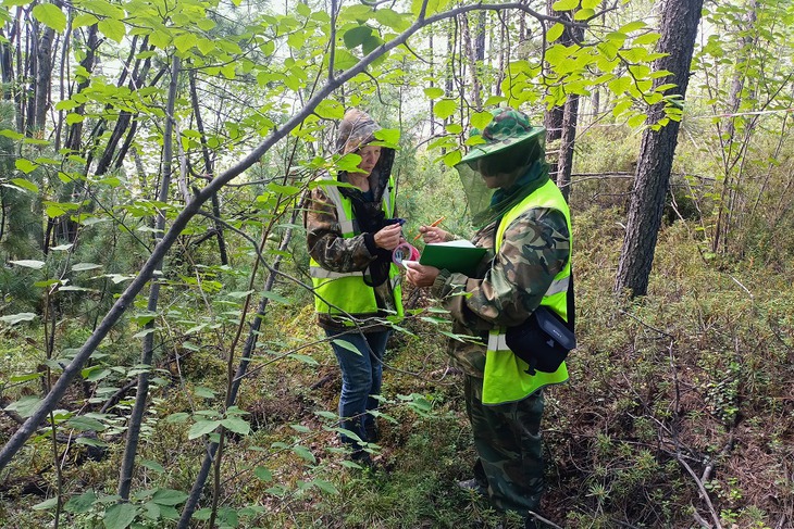 Фото «Полюс Вернинское»