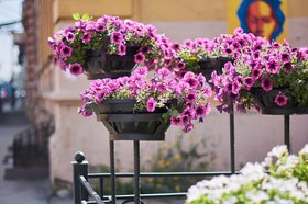 Летний Иркутск. Фото из архива IRK.ru