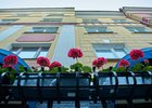 Лето в Иркутске. Фото Маргариты Романовой, IRK.ru