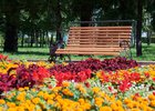 Лето в Иркутске. Фото из архива IRK.ru