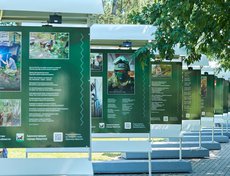 29 августа в сквере Кирова открылась вторая часть выставки «Весточка с передовой».