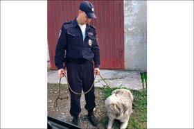 Полицейский со сбежавшей собакой. Фото пресс-службы ГУ МВД России по Иркутской области