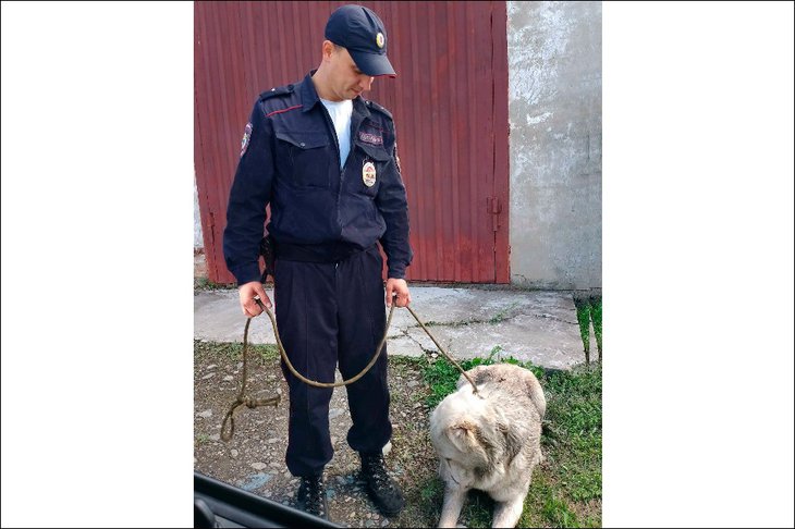 Полицейский со сбежавшей собакой. Фото пресс-службы ГУ МВД России по Иркутской области