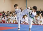 Воспитанники клуба. Фото предоставлено спортивным клубом «Воин»