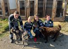 Члены Рабочего и Молодежного советов шелеховской промплощадки посетили приют