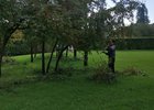 Обрезка деревьев. Фото пресс-службы администрации Иркутска