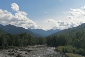 Поваленные деревья в устье реки Солзан. Фото IRK.ru