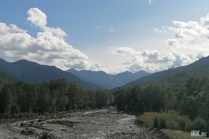 Поваленные деревья в устье реки Солзан. Фото IRK.ru