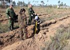 Посадка леса. Фото пресс-службы правительства Иркутской области