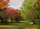 Осень в Иркутске. Фото IRK.ru