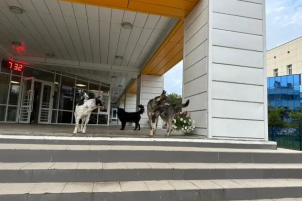 Фото Елены, жительницы Академгородка