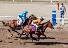 Конные соревнования. Фото пресс-службы Иркутского района