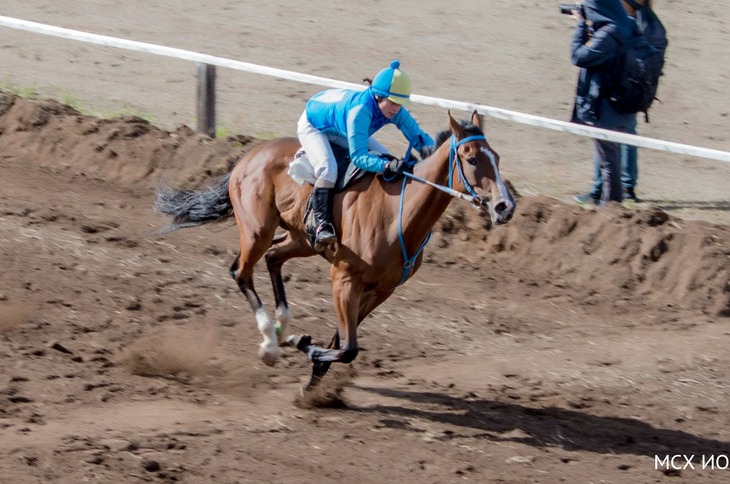 Фото пресс-службы Иркутского района