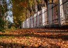 Осень в Иркутске. Фото IRK.ru