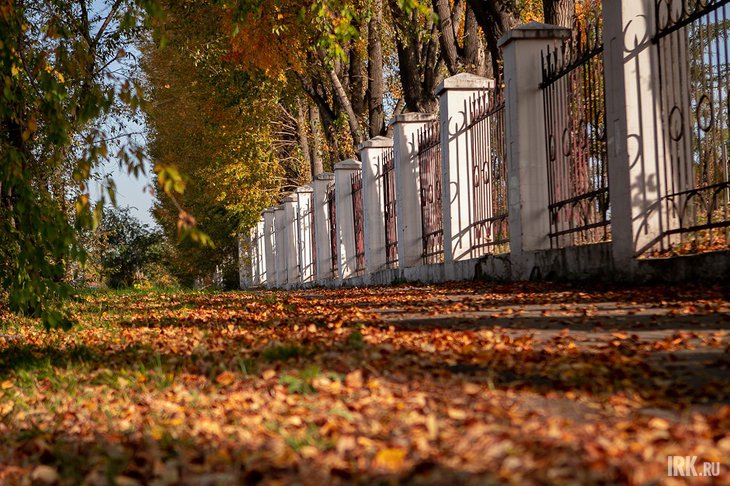 Осень в Иркутске. Фото IRK.ru