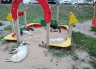 Бездомные собаки в Иркутске. Фото Натальи, ЖК «Академия»