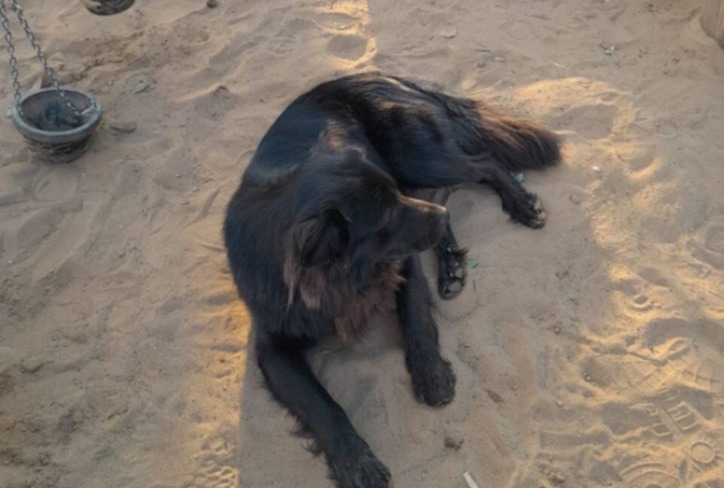 Фото Елены, жительницы Академгородка