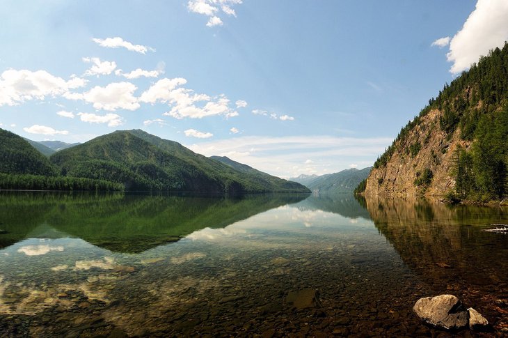 Тофалария. Фото из телеграм-канала «Заповедного Прибайкалья»