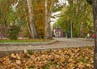 Осень в Иркутске. Фото Маргариты Романовой, IRK.ru